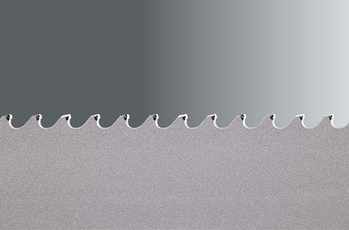 Cut360 Banso Flex back Banda de hoja de sierra ancho 16 mm, 1085 x 16 x 0,5 mm, fabricado en Alemania 